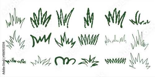 Collection of hand drawn green grass tufts white nature plant
