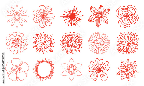 Collection of red line floral a white flower outline