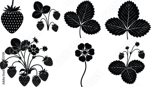 Black silhouette vector art of strawberry fruit leaves flower and berry clusters isolated on white background detailed botanical elements with natural shapes and crisp edges