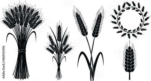 Black silhouette collection of wheat ears bundle wreath and isolated grain spikelets vector art set on white background