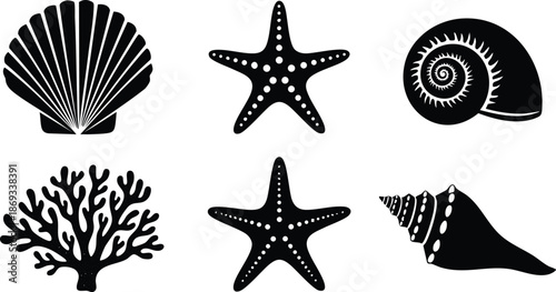 Black silhouette vector set of various seashells coral and starfish with detailed textures isolated on white background for beach coastal marine marine life designs
