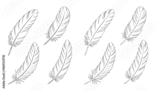 Set of black and white feather illustrations isolated on white background
