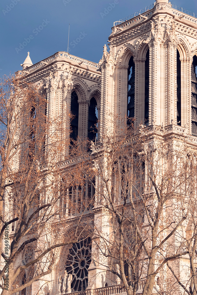 custom made wallpaper toronto digitalArchitectural details of cathedral Notre Dame de Paris