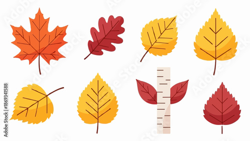 Collection of colorful autumn leaves and a birch bark segment