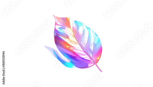 A translucent leaf with a vibrant iridescent effect against a black backdrop