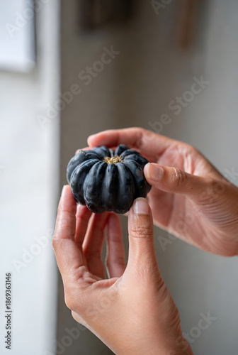 Wallpaper Mural  a person's hands holding a small, dark-colored pumpkin or gourd. The pumpkin appears to have a decorative stem on top, and the person's fingers are gently cradling it. The background is slightly blur Torontodigital.ca