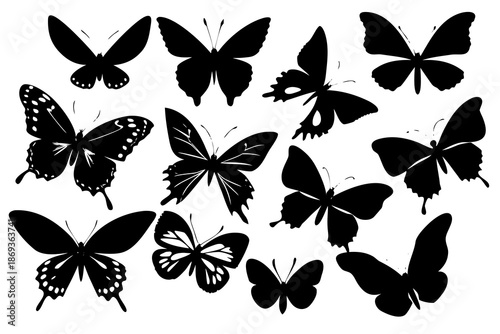 set of Butterfly flying silhouette vector illustration isolated on white background