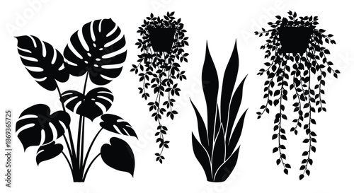 A striking collection of tropical foliage in black silhouette