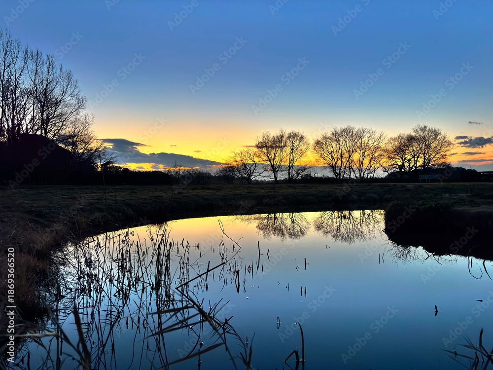 Obraz premium 冬の多々良沼にある小沼の夕景