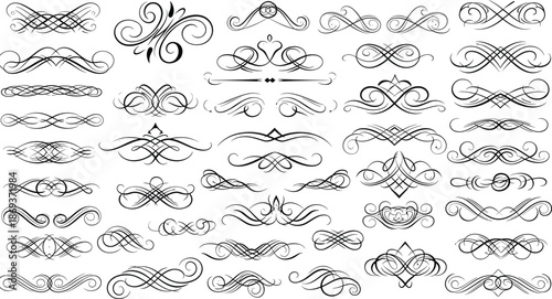 Elaborate Black Calligraphic Ornaments and Swirls Collection flourish scroll