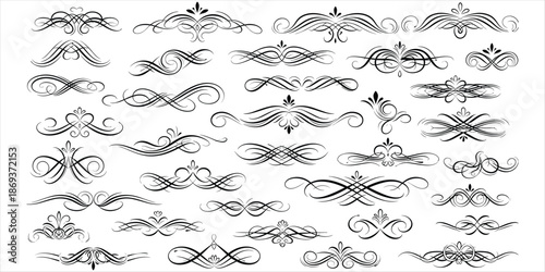 Elaborate Black Decorative Swirls And Flourishes For Design Elements ornament