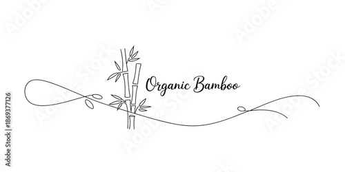 Organic Bamboo Illustration on Transparent Background