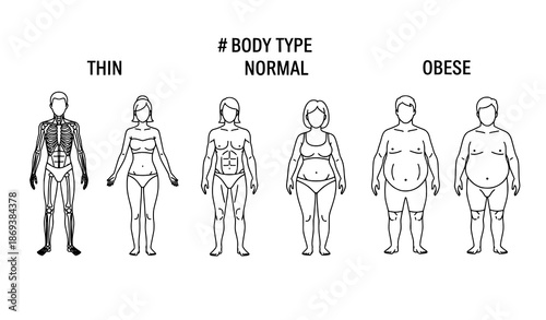 Thin normal and obese body types line icon set vector illustration for body mass index concept