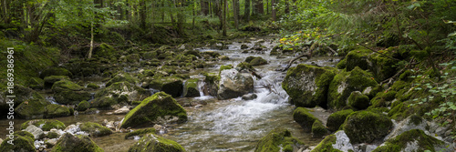 Fluß Rottach, Gebirgsfluß im Wald, Rottach-Egern, Mangfallgebirge, Oberbayern, Bayern, Deutschland