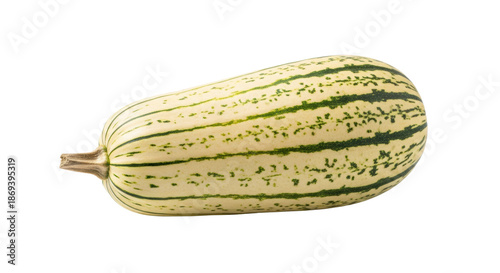 Wallpaper Mural A single fresh delicata squash with green stripes and a stem lies on a transparent studio background with soft light. Concept of healthy eating and autumn harvest Torontodigital.ca