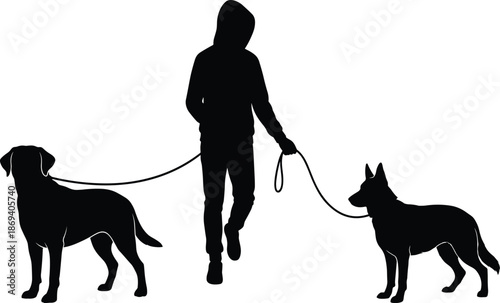 Person walking dogs silhouette, pet owner with leashed dogs, daily outdoor routine, companionship lifestyle concept, isolated black vector illustration design