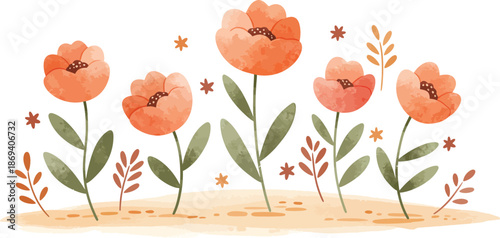 Vibrant orange tulips with green leaves on white background