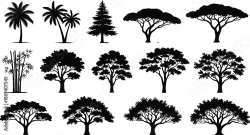 Collection of various tree silhouettes including palm pine bamboo and deciduous types, nature forest botanical set black and white vector illustration,