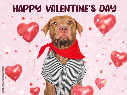 Happy Valentine's Day. Cute dog and congratulatory inscription