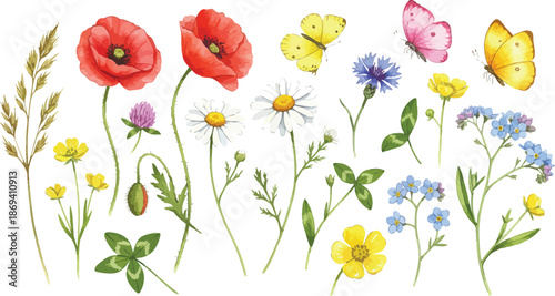 A colorful illustration of a variety of wildflowers on white background