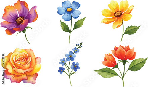 Watercolor painting of six colorful flowers on white background