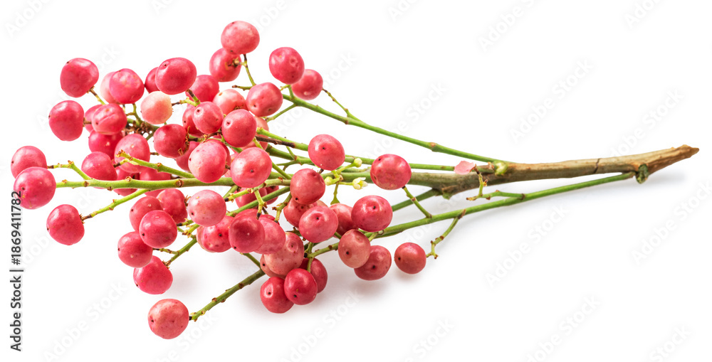 Fototapeta premium Fresh pink peppercorns on branch isolated on white background. File contains clipping paths.