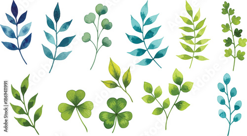 Collection of various green and blue leafy branches and stems