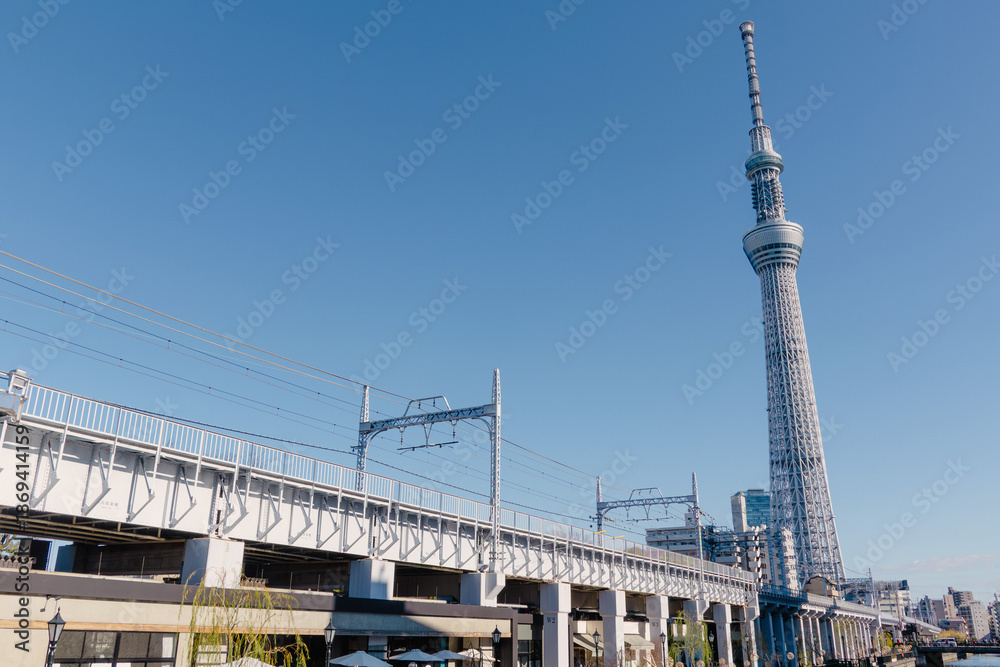 Naklejka premium 快晴の東京スカイツリーと街並み