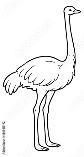 Line art illustration of an ostrich depicting a standing wild bird for children's learning