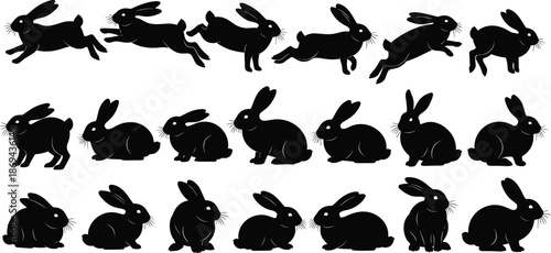 Rabbit silhouettes set, bunny running jumping sitting poses, cute animal collection isolated on white background, wildlife illustration vector design elements