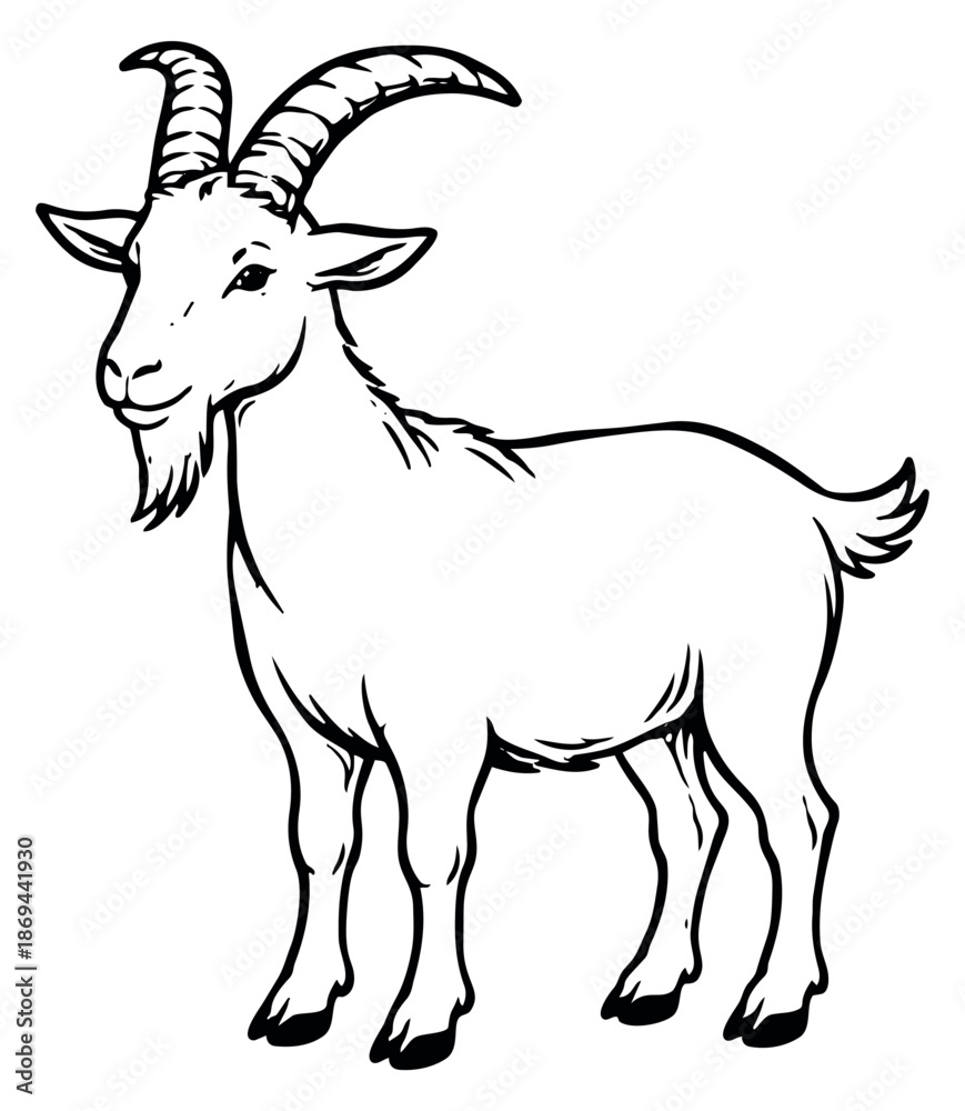 Obraz premium Hand drawn line art illustration of a standing goat depicting its profile for farm animal themes