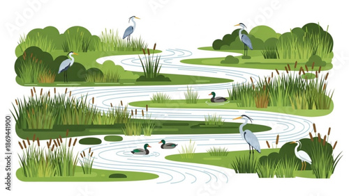 Serene wetland landscape with winding river lush greenery herons and ducks in natural habitat