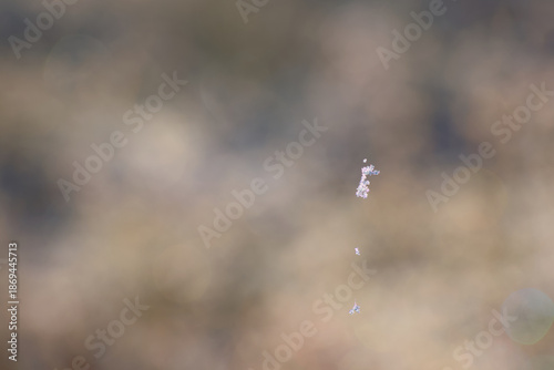 Tiny ice crystals on spider web with soft abstract background