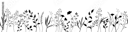 Wildflowers seamless border. Black hand drawn vector illustration with spring or summer flowers. Shadow of herb and plant. Botanical field isolated on white background