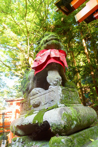 Tori Gate in Kyoto, Japan. 22 June 2025