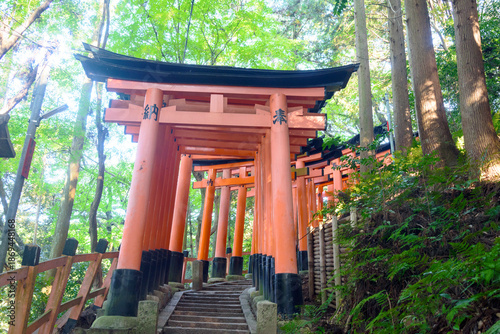 Tori Gate in Kyoto, Japan. 22 June 2025