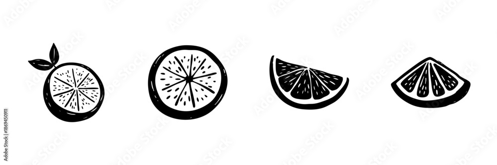 Fototapeta premium Citrus Fruit Slices In Hand Drawn Style Set. Freshness, Vitamin C, Healthy Eating Doodle Sketch Collection. Citrus Variety Illustration. Isolated Vector Illustration