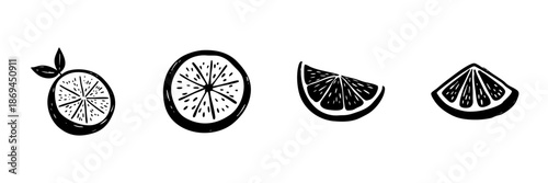 Citrus Fruit Slices In Hand Drawn Style Set. Freshness, Vitamin C, Healthy Eating Doodle Sketch Collection. Citrus Variety Illustration. Isolated Vector Illustration