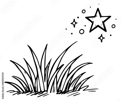 Hand drawn line art illustration of grass and stars depicting a whimsical outdoor moment for creative design projects