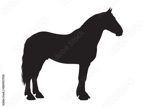hire horse in silhouette white background.