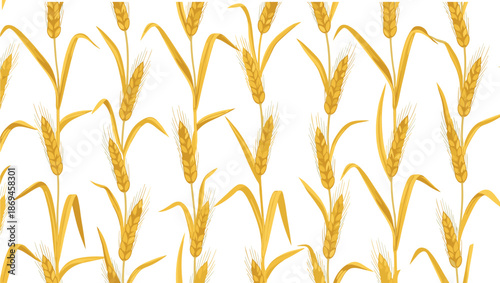 Golden wheat stalks with grains arranged in a repeating pattern on white background