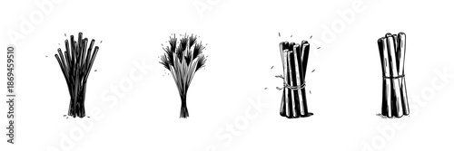 Bundles Of Sticks And Wheat Doodle Sketch Set. Rustic Agriculture And Natural Material Collection In Hand Drawn Style. Farm Harvest And Craft Supplies. Hand Drawn Isolated Vector Illustration