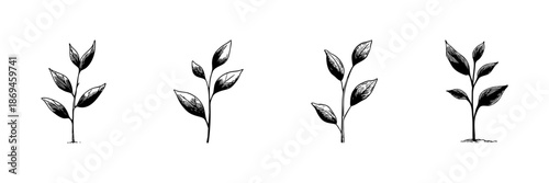 Young Plant Sprouts Doodle Sketch Set. Growth And Nature Symbolism In Hand Drawn Style Collection. Botanical Illustration Of Seedlings. Isolated Vector Illustration