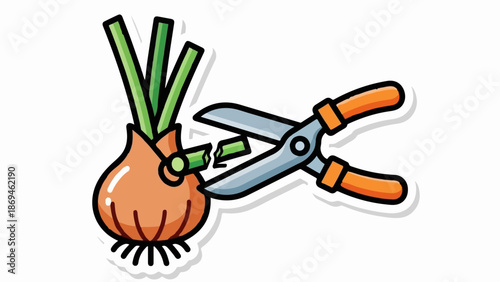 Onion being trimmed with shears