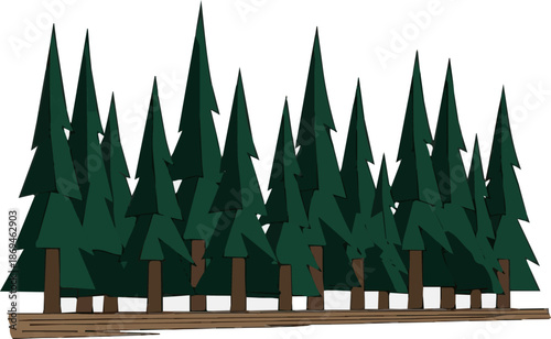 Create a realistic Long row of mountain pine growing as hedge vector art with white background.