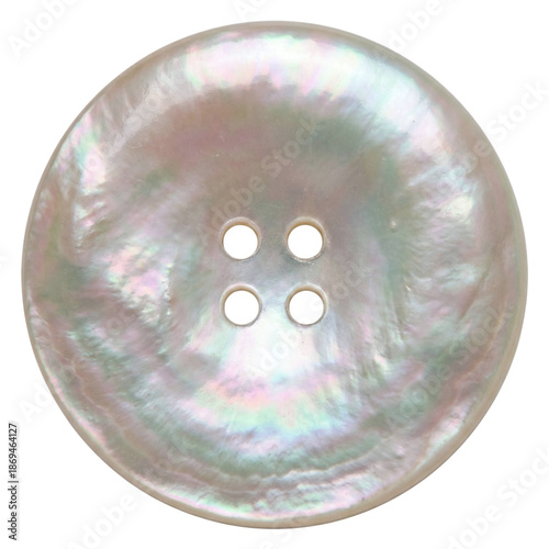Canvastavla Single round iridescent mother of pearl button