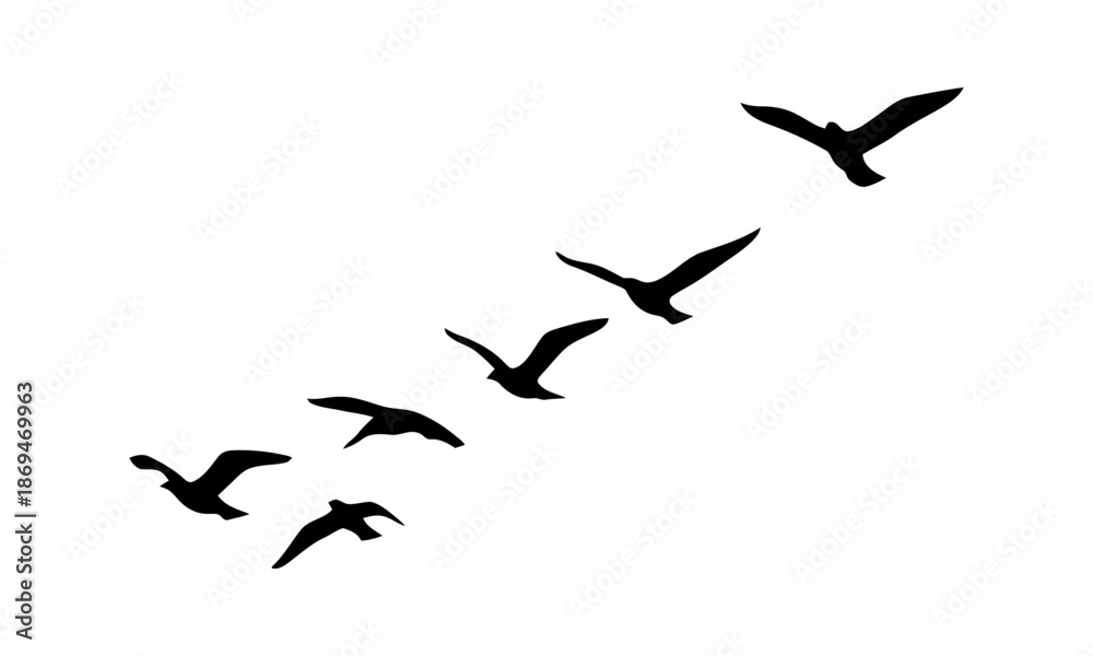 Fototapeta premium Dynamic silhouettes of a majestic flock of birds soaring gracefully in a V-formation across a vast, bright sky, symbolizing freedom, migration, and collective unity within the natural world