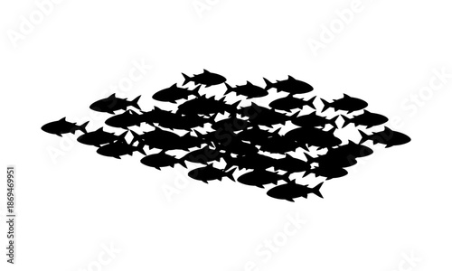 Vector illustration depicting a dense school of fish moving as one cohesive unit, symbolizing aquatic teamwork and natural harmony