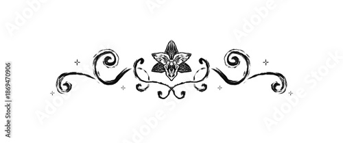 Decorative fantasy romance paragraph spacer with swirls and orchid, romantic decoration graphic element swirl