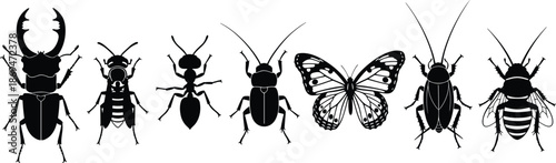 Set of black insect silhouettes including stag beetle, wasp, ant, cricket, butterfly, cockroach and honey bee isolated on white background for nature design